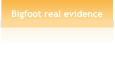 Bigfoot real evidence