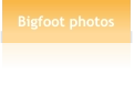 Bigfoot photos