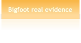 Bigfoot real evidence