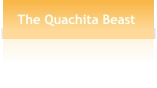 The Quachita Beast
