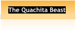 The Quachita Beast