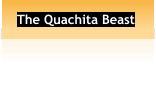 The Quachita Beast