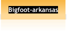 Bigfoot-arkansas