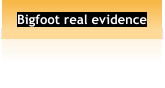 Bigfoot real evidence