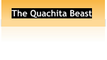 The Quachita Beast