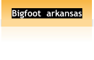 Bigfoot  arkansas