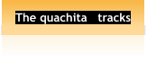 The quachita   tracks