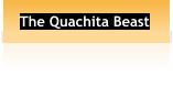 The Quachita Beast